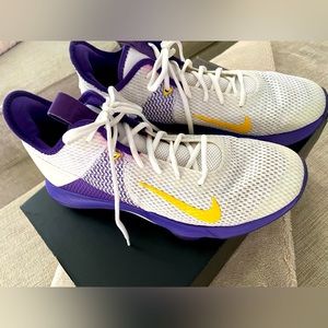 LeBron James Witness IV - Los Angeles Lakers